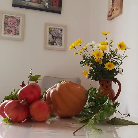Apartmán Madi'